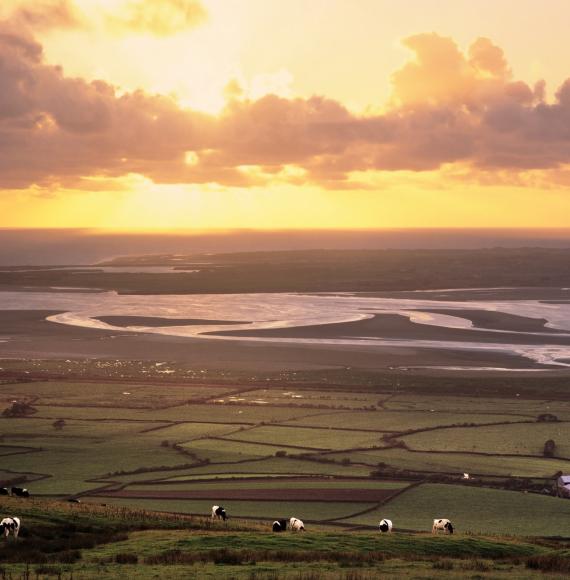 Morecambe Bay