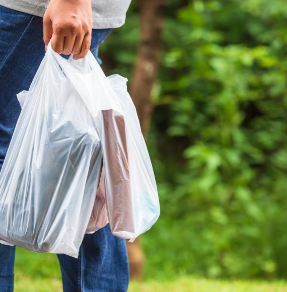 Woman holding plastic bags