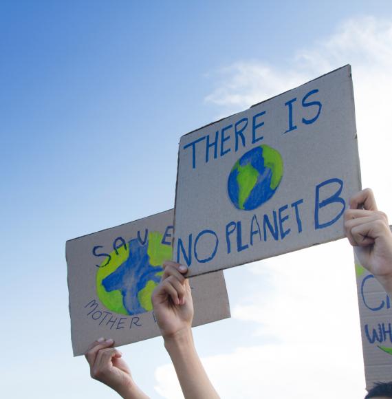 Climate change protestors