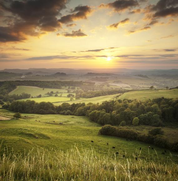 Eggardon Hill, Dorset