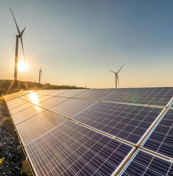 Solar panels and wind turbines