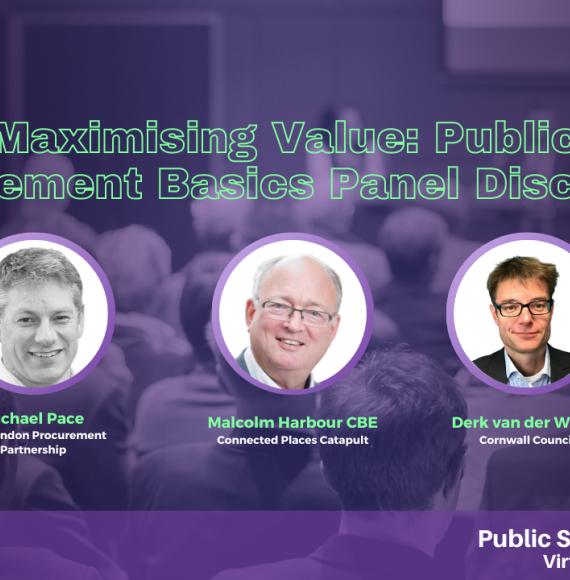 Maximising Value: Public Procurement Basics Panellists
