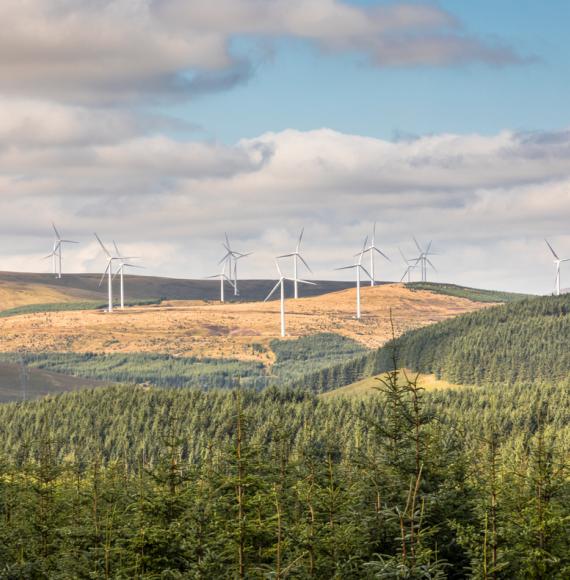 Scottish countryside with wind turbines in the background