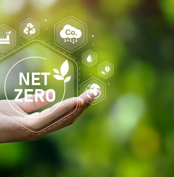 Net Zero in a hand