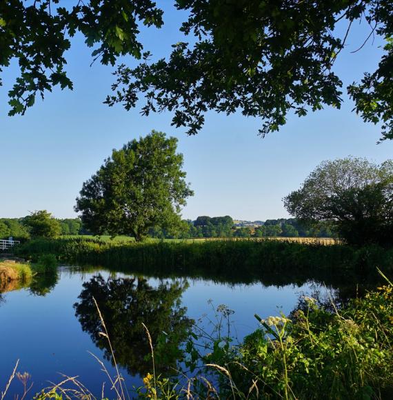 Countryside in Mid Devon District