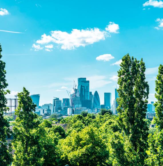 View of the City of London skyline through some trees