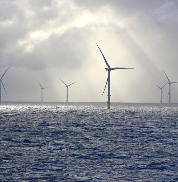 Offshore wind farm