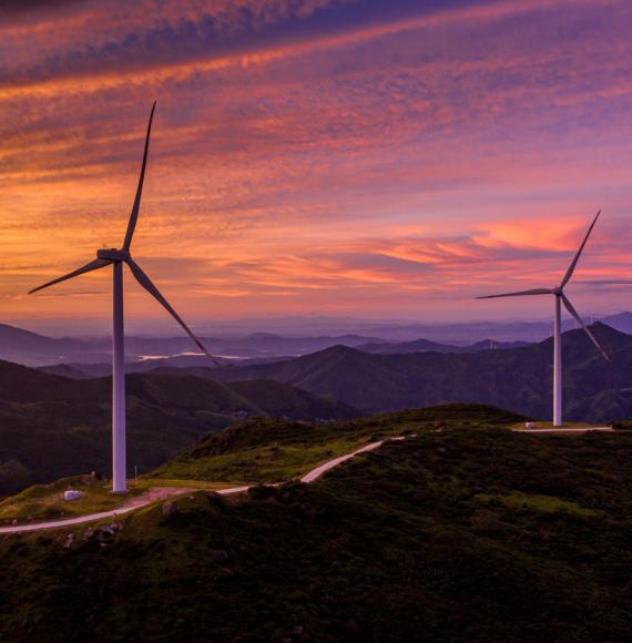 Wind turbines at dawn