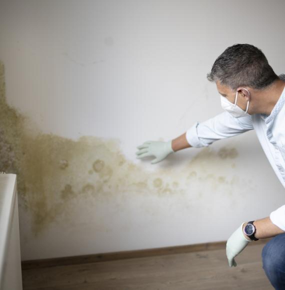 Man with mouth nose mask and blue shirt and gloves in front of white wall with mould