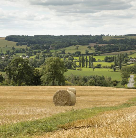 Countryside in Leicestershire