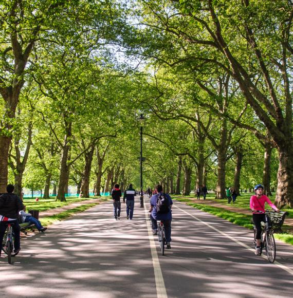 Hyde park cycle routes under tree canopy on a sunny day