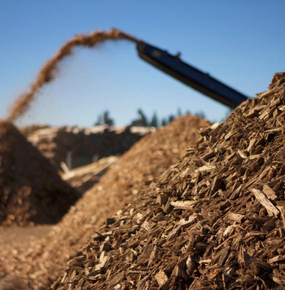 Biomass. A pile of biomass ready for us as fuel