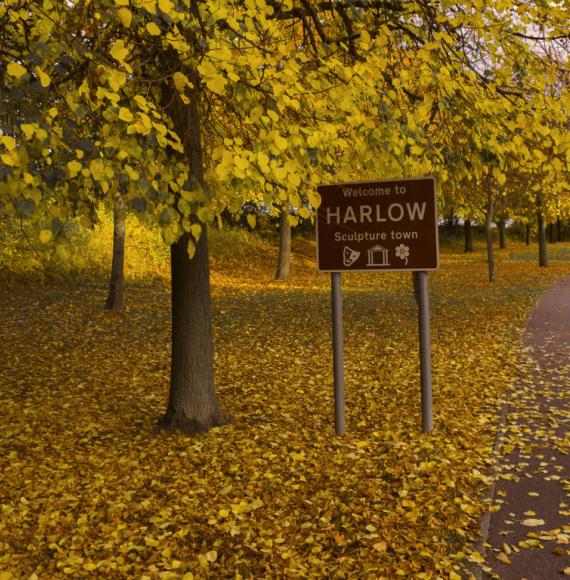 harlow sign