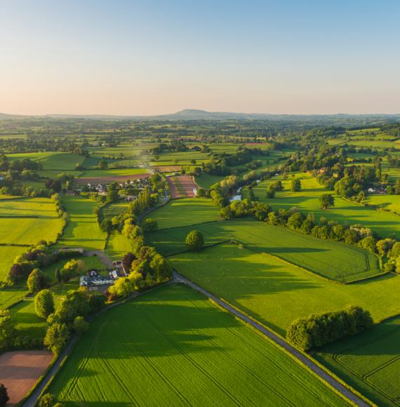 Fields in England