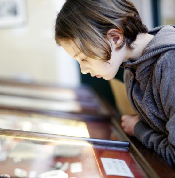 Chid learning in a museum