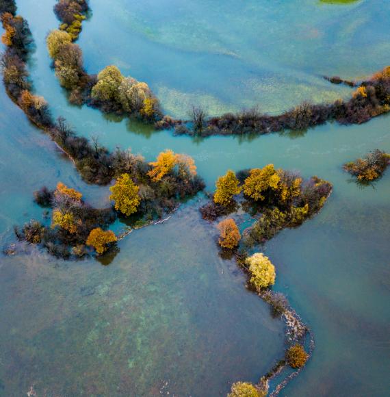 Flooding in a field