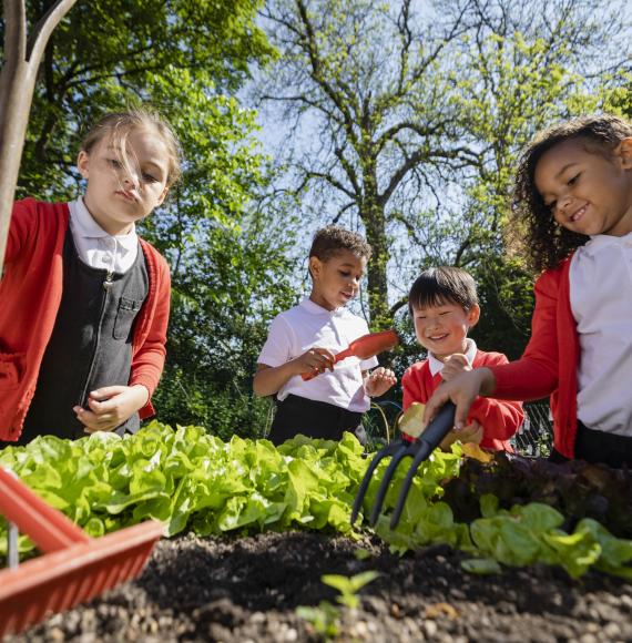 Children learning outside