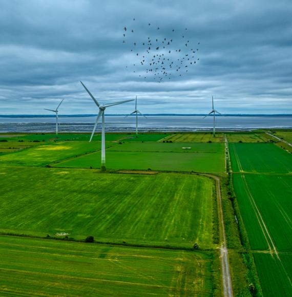 Wind turbines in the countryside