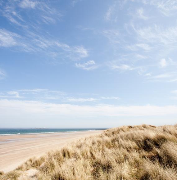 Beach in Northumberland