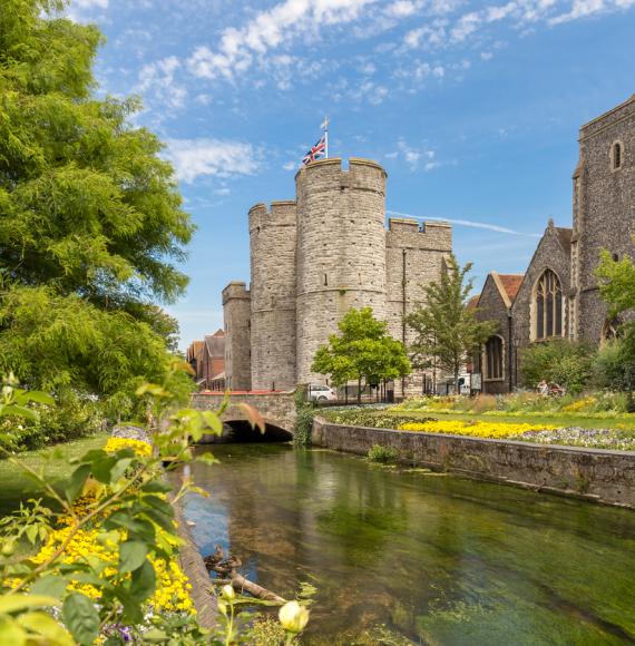 Summer in canterbury