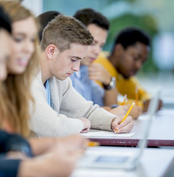 Young people studying