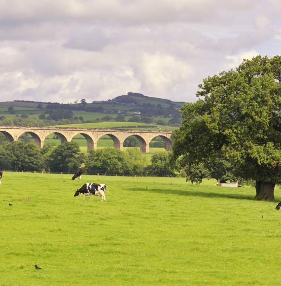 Countryside in West Yorkshire