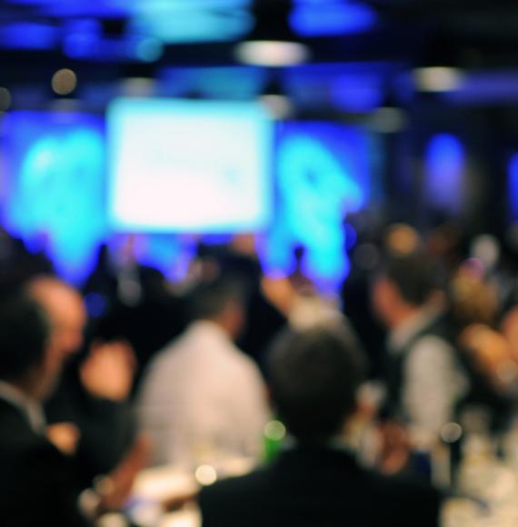 Audience at an Evening Event