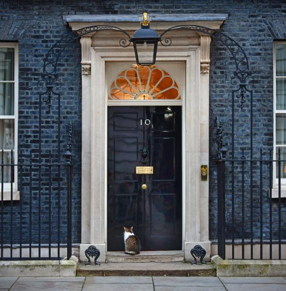 Resident cat sits in Downing Street outside number 10 - the official office and residence of the British Prime Minister in London, UK