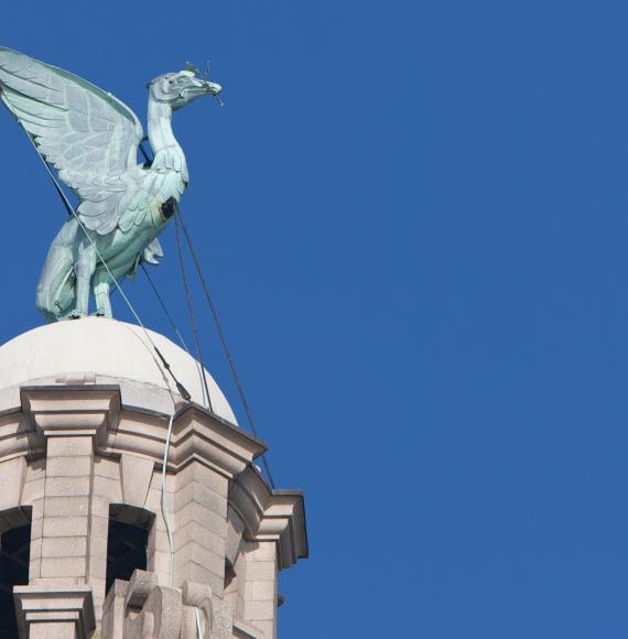 Top of the Royal Liver Building