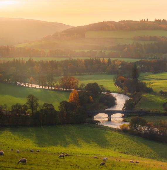 Scottish farming