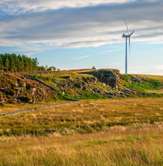 An onshore wind farm in Northumbria, England