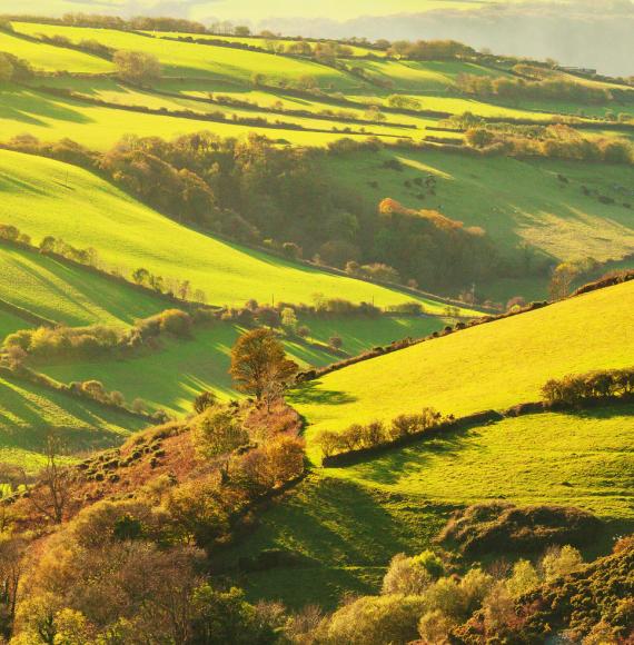 Devon