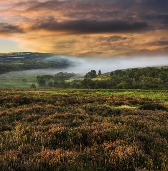 North Yorks Moors