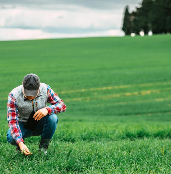 Farmer in his field