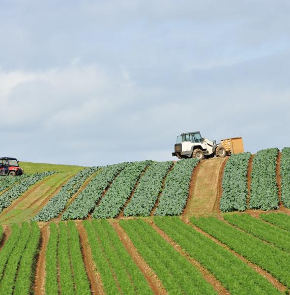 Farming technology