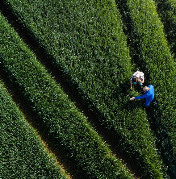 UK farmer