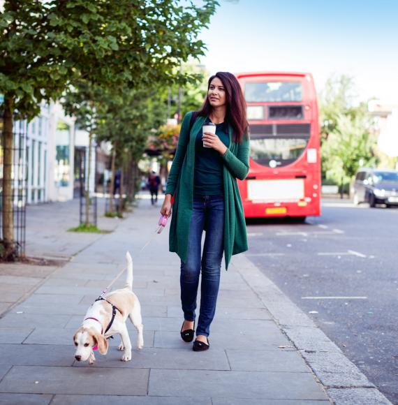 Woman walking a dog in London