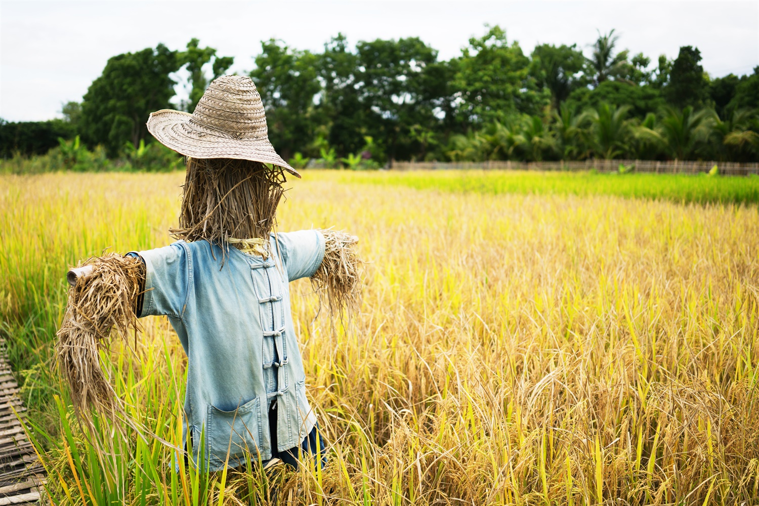 GDPR: The public sector scarecrow