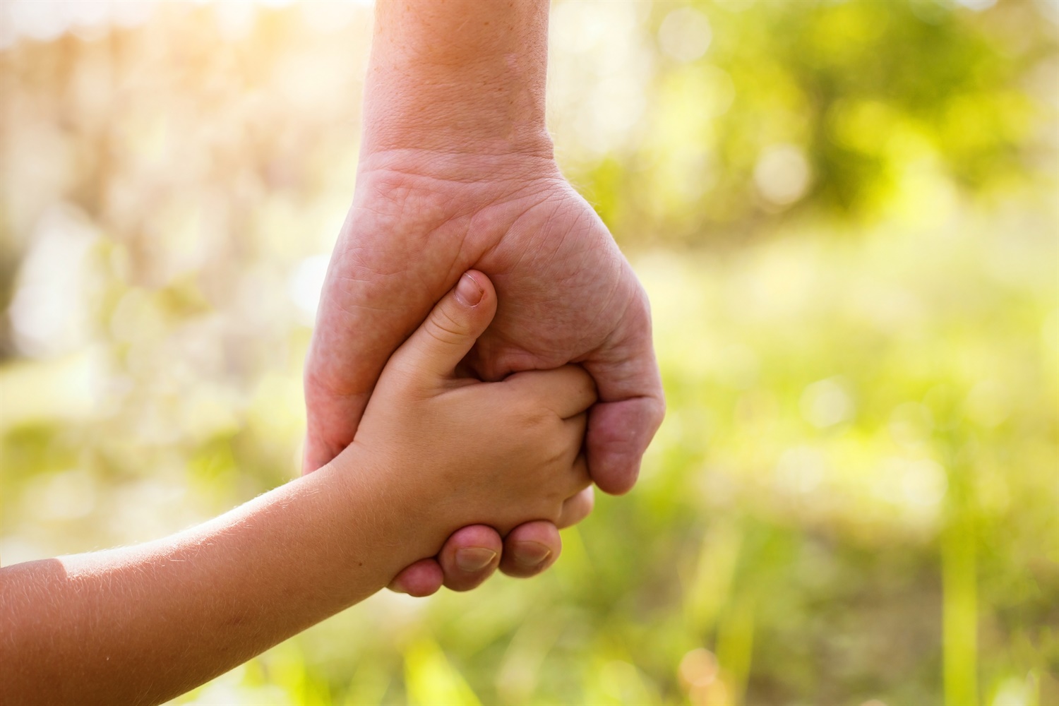 social care iStock-527798803 social care iStock-527798803